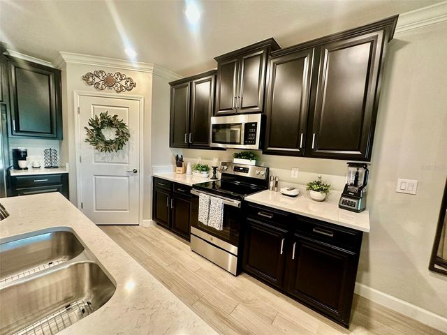 10442 ECHO DOCK LOOP, San Antonio, FL 33576