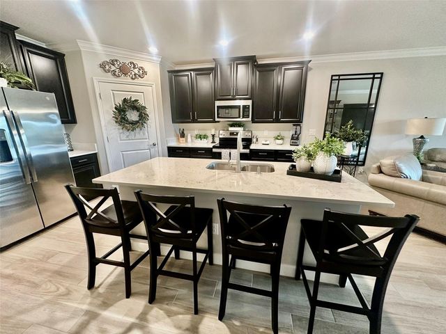 10442 ECHO DOCK LOOP, San Antonio, FL 33576