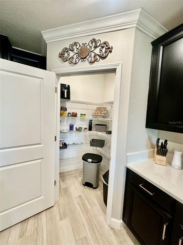 10442 ECHO DOCK LOOP, San Antonio, FL 33576
