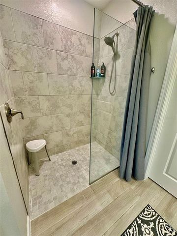 10442 ECHO DOCK LOOP, San Antonio, FL 33576