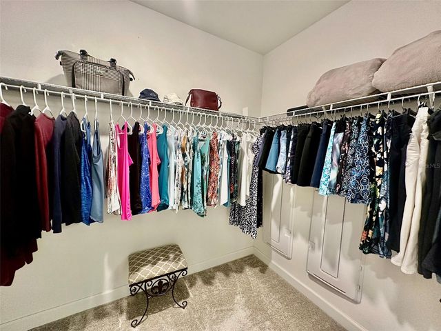 10442 ECHO DOCK LOOP, San Antonio, FL 33576
