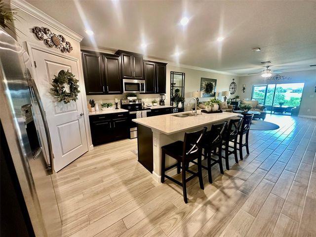 10442 ECHO DOCK LOOP, San Antonio, FL 33576