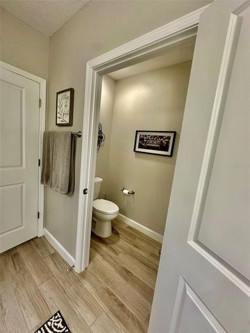 10442 ECHO DOCK LOOP, San Antonio, FL 33576