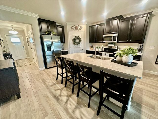 10442 ECHO DOCK LOOP, San Antonio, FL 33576