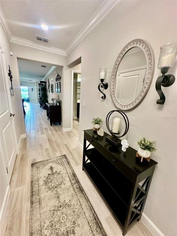 10442 ECHO DOCK LOOP, San Antonio, FL 33576