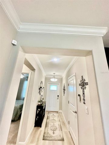 10442 ECHO DOCK LOOP, San Antonio, FL 33576