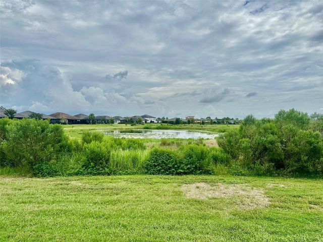 10442 ECHO DOCK LOOP, San Antonio, FL 33576