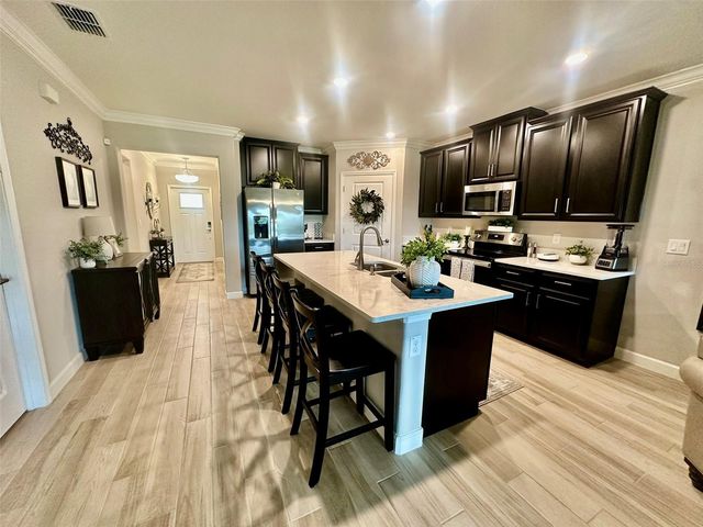 10442 ECHO DOCK LOOP, San Antonio, FL 33576