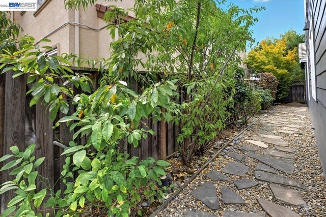 38393 Amaryllis Pl, Newark, CA 94560