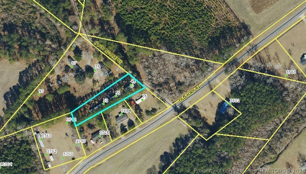 45, 51, 53 Plum Nellie Road, Bladenboro, NC 28320 — exterior