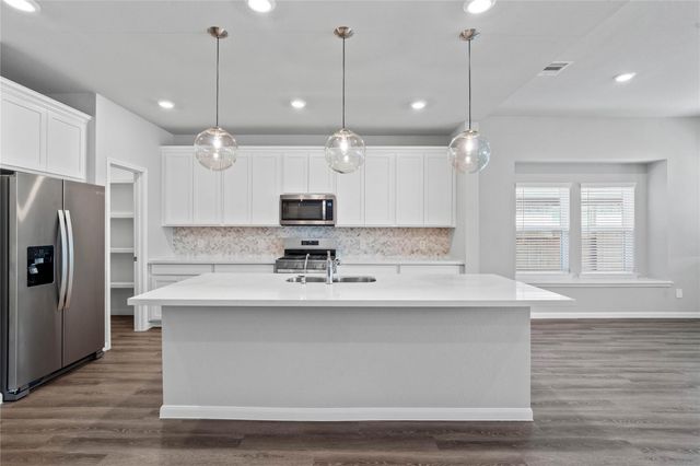 19733 Flag View Drive, Montgomery, TX 77316