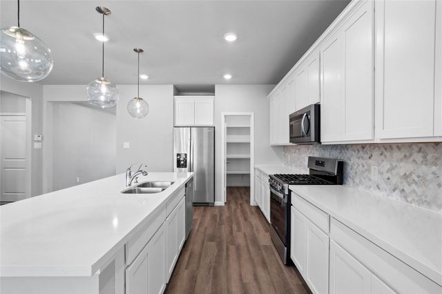 19733 Flag View Drive, Montgomery, TX 77316