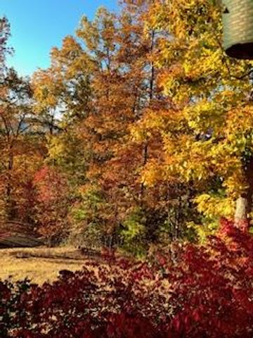238 Ridge View Lane, Hayesville, NC 28904