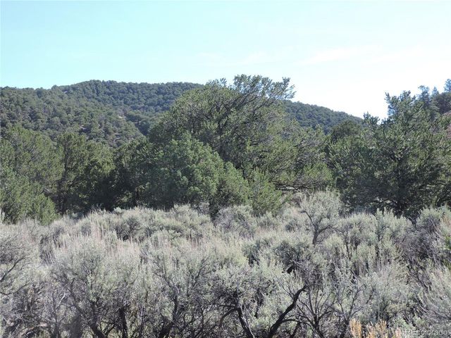 7563 Dolder Rd, Fort Garland, CO 81133