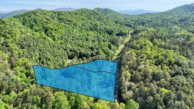 1493 Greasy Creek Road, Brasstown, NC 28902