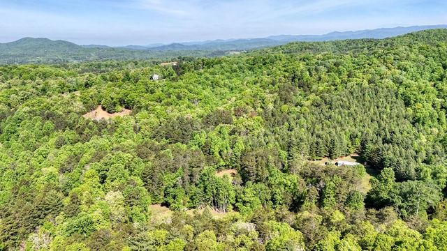 1493 Greasy Creek Road, Brasstown, NC 28902