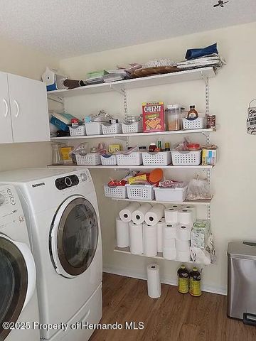 3519 Cobia Drive, Hernando Beach, FL 34607