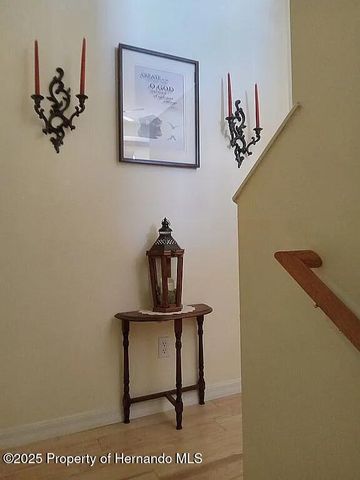 3519 Cobia Drive, Hernando Beach, FL 34607