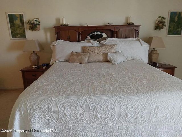 3519 Cobia Drive, Hernando Beach, FL 34607