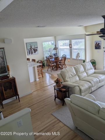 3519 Cobia Drive, Hernando Beach, FL 34607