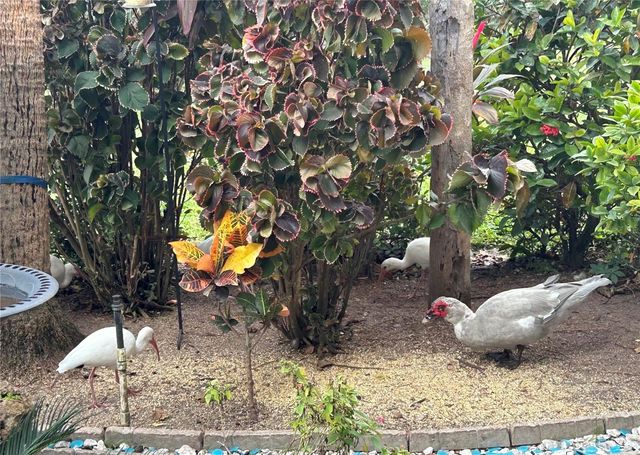 1515 FORREST NELSON BOULEVARD A101, Port Charlotte, FL 33952