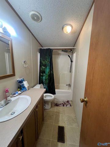 701 Cemetary Road, Holly Pond, AL 35803