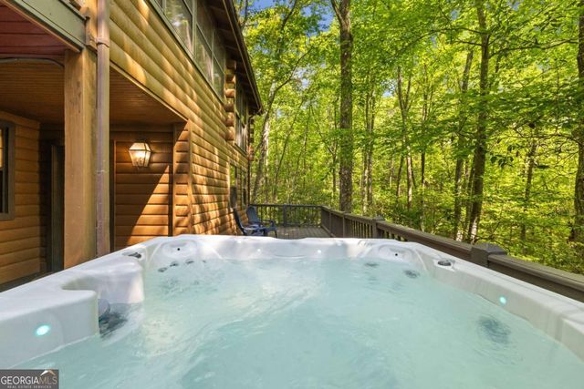 556 Cherry Lake Drive, Cherry Log, GA 30522