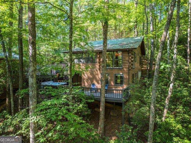 556 Cherry Lake Drive, Cherry Log, GA 30522