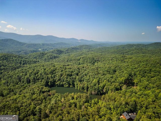 556 Cherry Lake Drive, Cherry Log, GA 30522