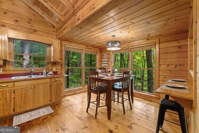 556 Cherry Lake Drive, Cherry Log, GA 30522