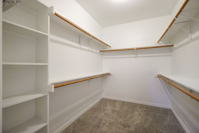 5608 Conch Train Road, Mckinney, TX 75070