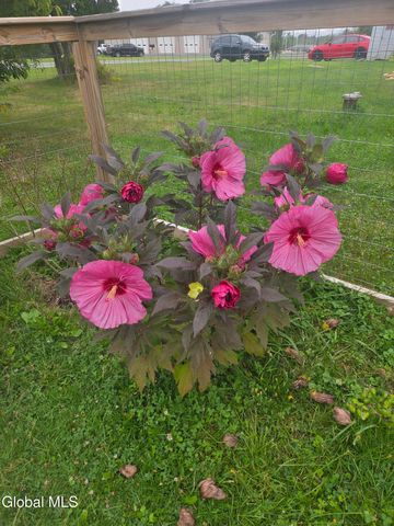 177 Cole Road, Duanesburg, NY 12053