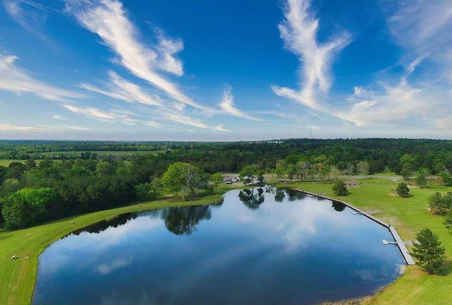 15679 Forest Grove Drive, Willis, TX 77378