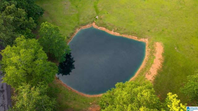 271 LITTLE POND ROAD, Pell City, AL 35128