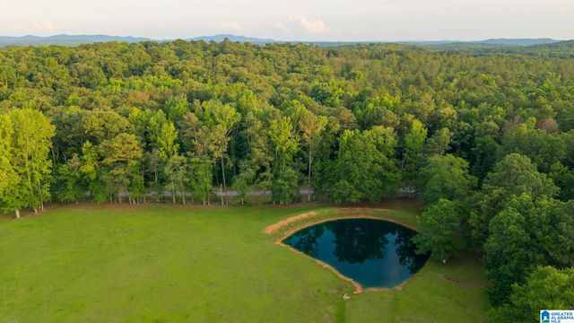 271 LITTLE POND ROAD, Pell City, AL 35128
