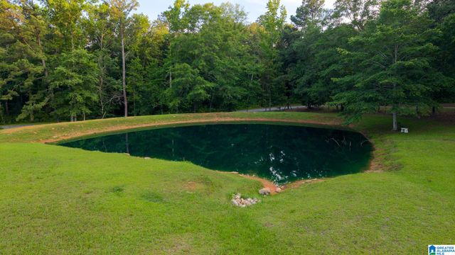 271 LITTLE POND ROAD, Pell City, AL 35128