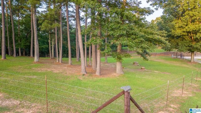 271 LITTLE POND ROAD, Pell City, AL 35128