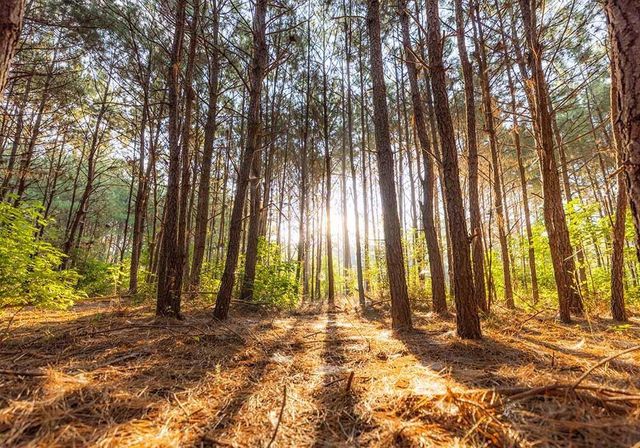 39 Coyote Run, New Waverly, TX 77378