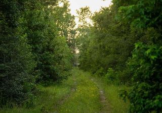 39 Coyote Run, New Waverly, TX 77378