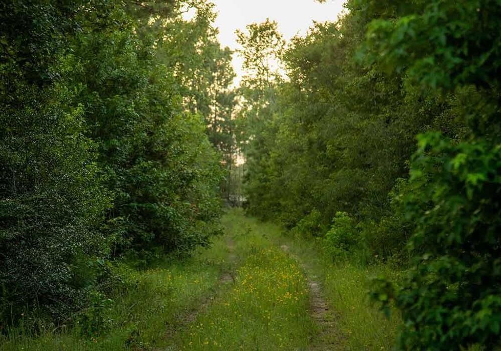 39 Coyote Run, New Waverly, TX 77378