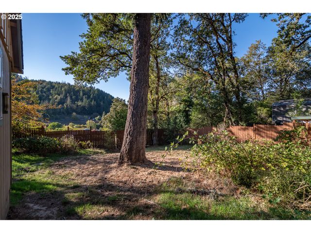 839 UNION GAP LOOP Rd, Oakland, OR 97462