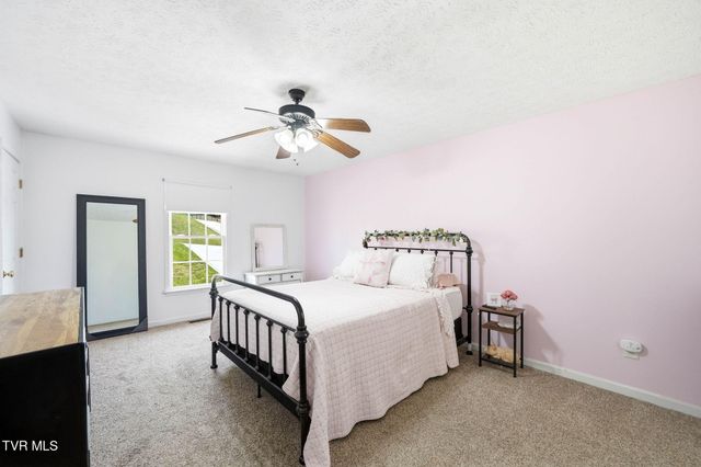 203 Valley Crest Drive, Mount Carmel, TN 37645