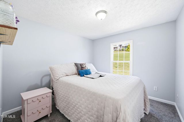 203 Valley Crest Drive, Mount Carmel, TN 37645