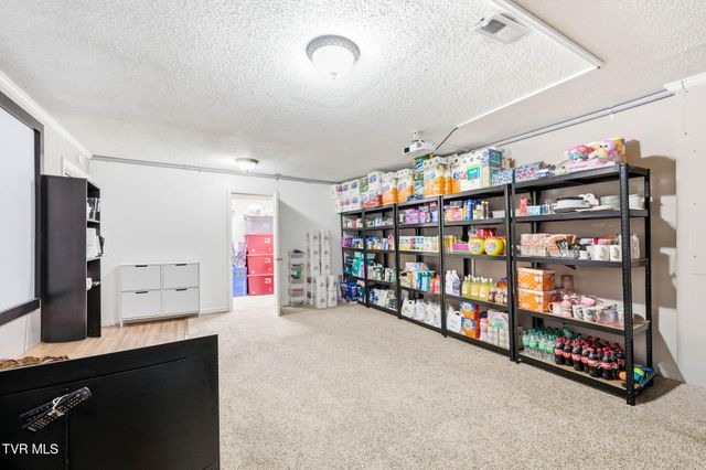 203 Valley Crest Drive, Mount Carmel, TN 37645