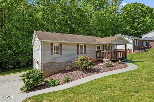 203 Valley Crest Drive, Mount Carmel, TN 37645