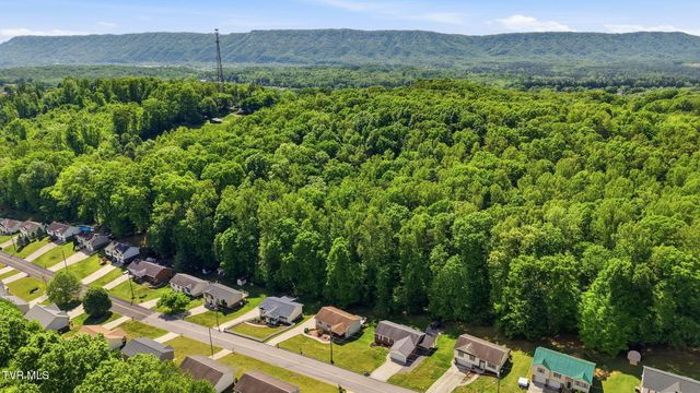 203 Valley Crest Drive, Mount Carmel, TN 37645