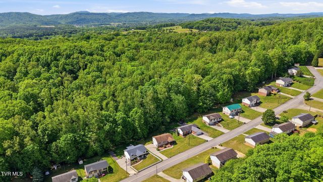 203 Valley Crest Drive, Mount Carmel, TN 37645