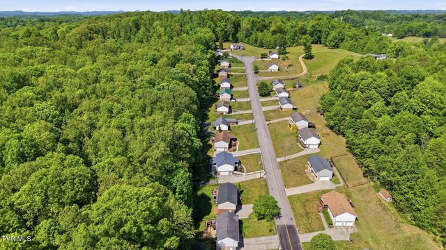 203 Valley Crest Drive, Mount Carmel, TN 37645