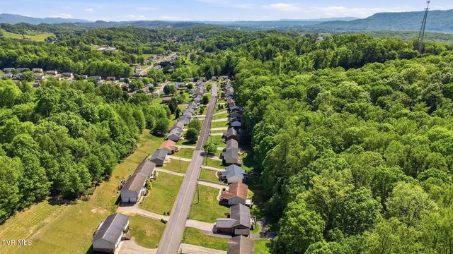 203 Valley Crest Drive, Mount Carmel, TN 37645