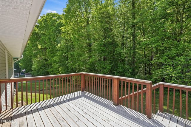 203 Valley Crest Drive, Mount Carmel, TN 37645